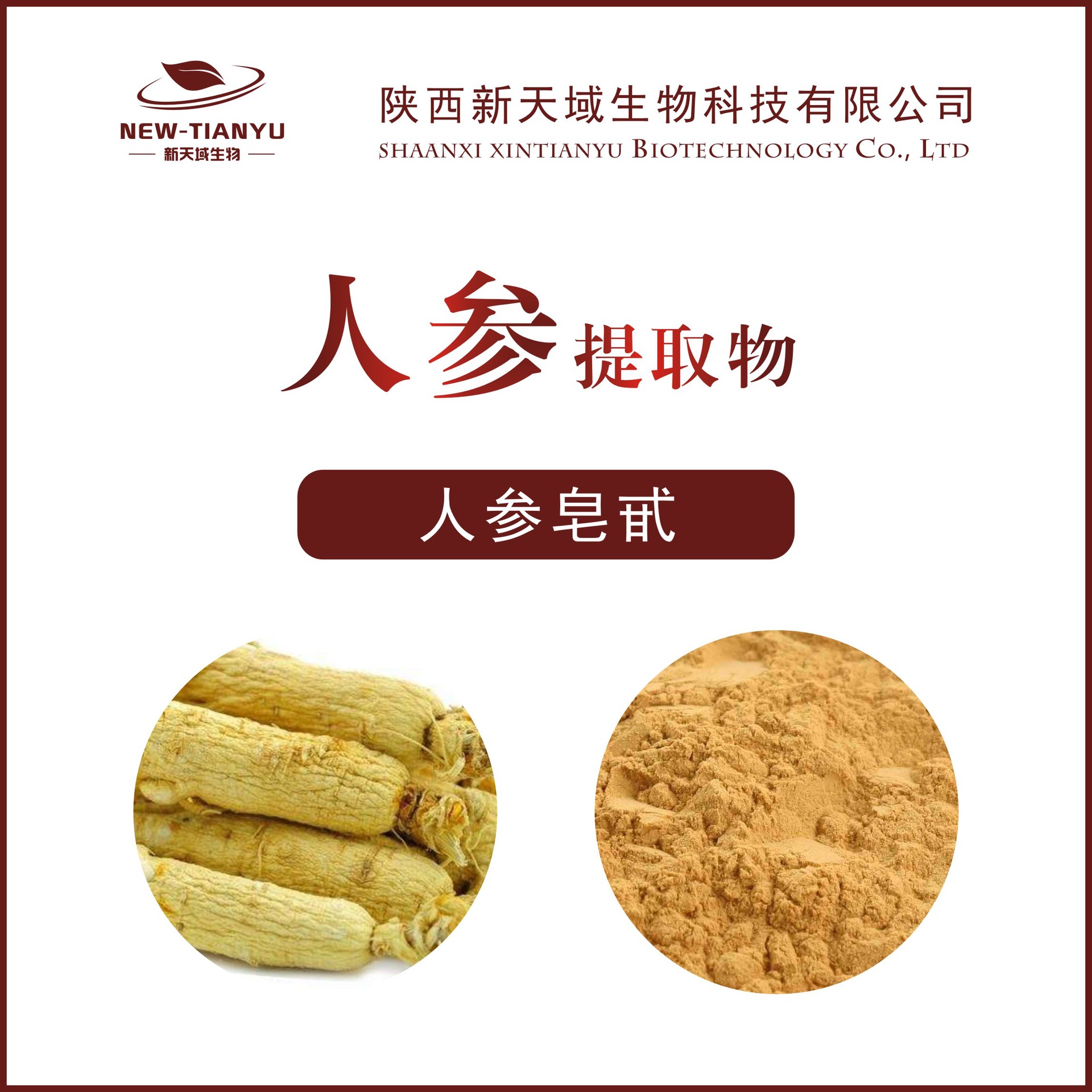 人参皂甙10% 人参提取物 人参皂苷植提厂家直销