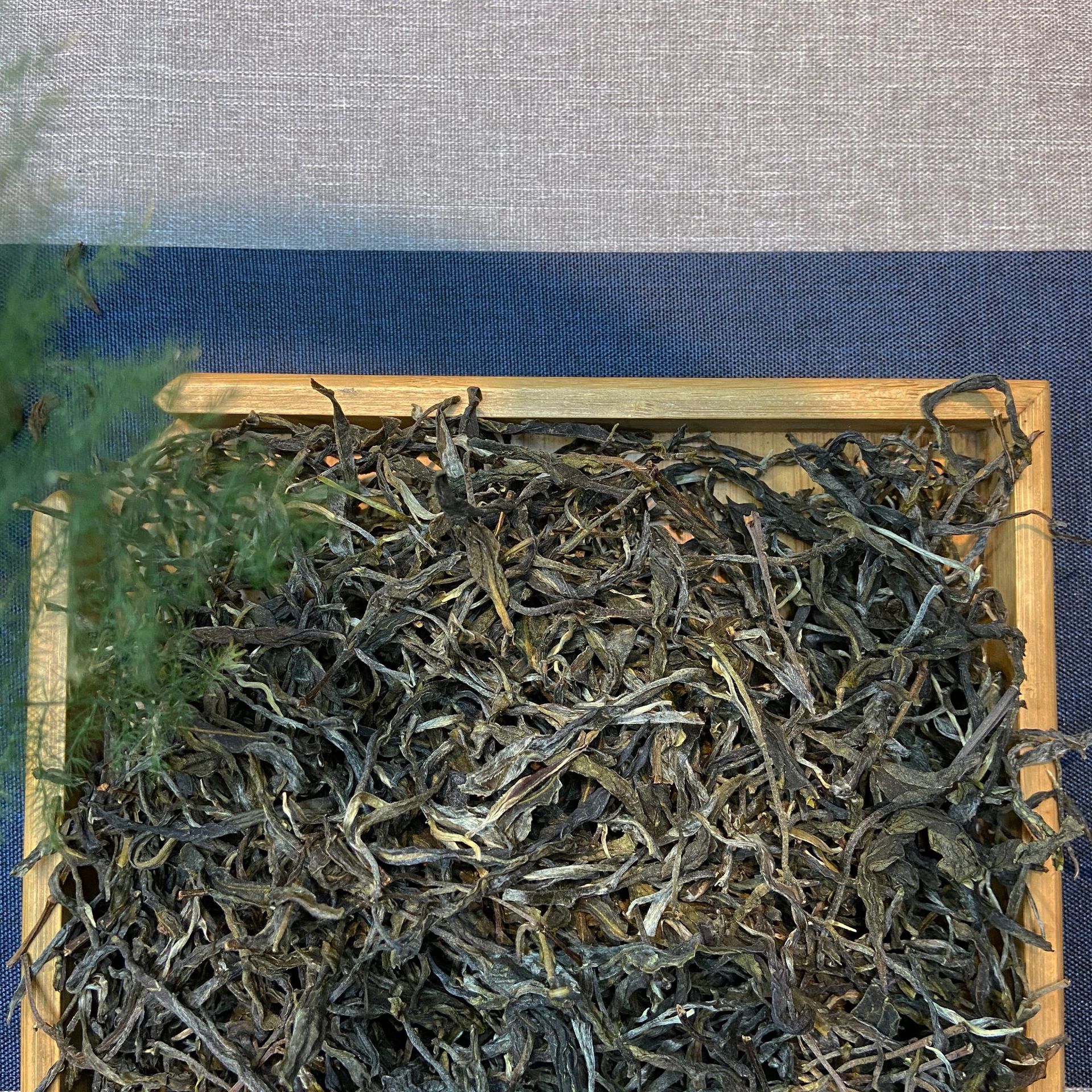 厂家批发 云南普洱茶生茶2020年头春昔归老树茶500克散茶