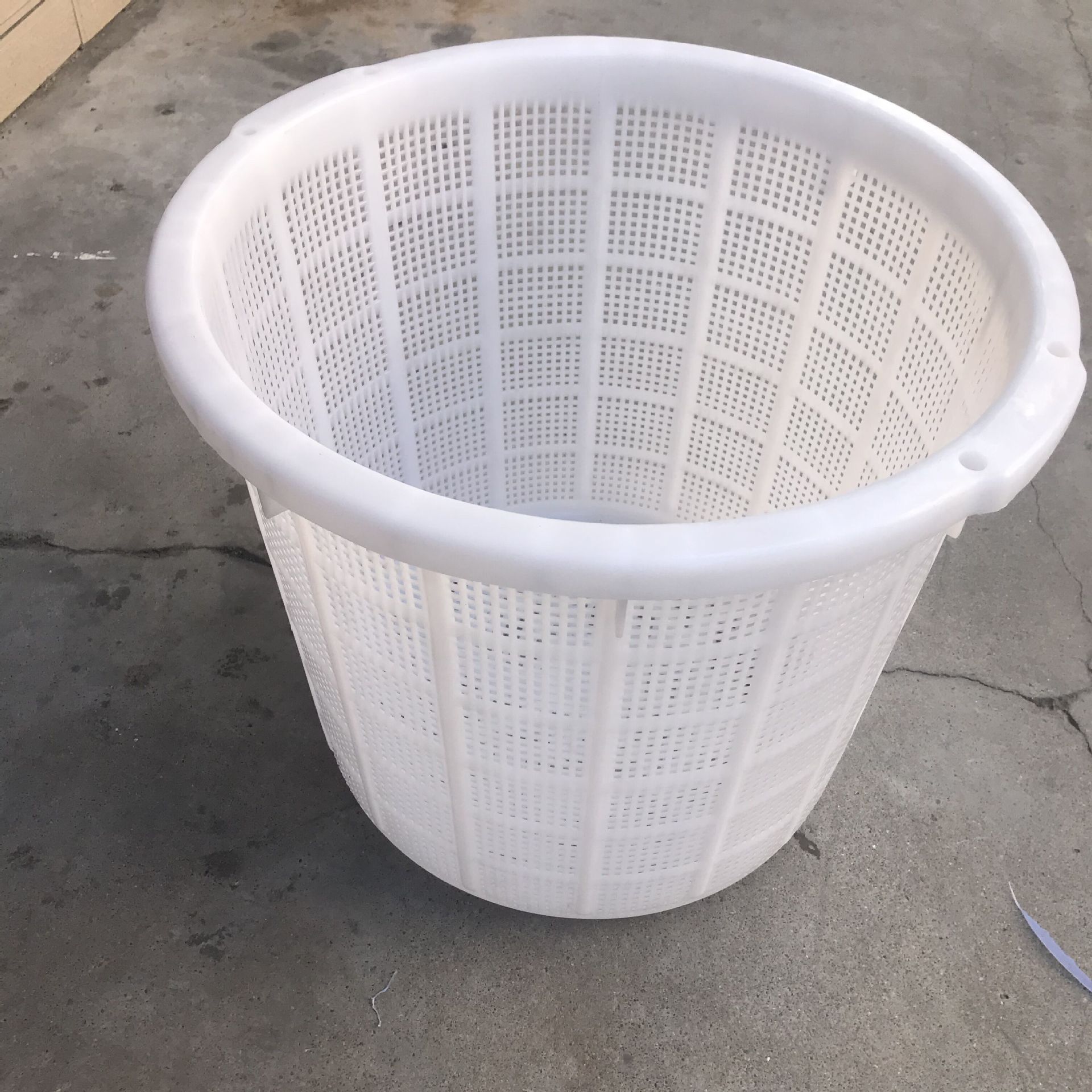 现货供应pp白色塑料鱼框 485*475*410塑料萝 圆形塑料鱼虾框