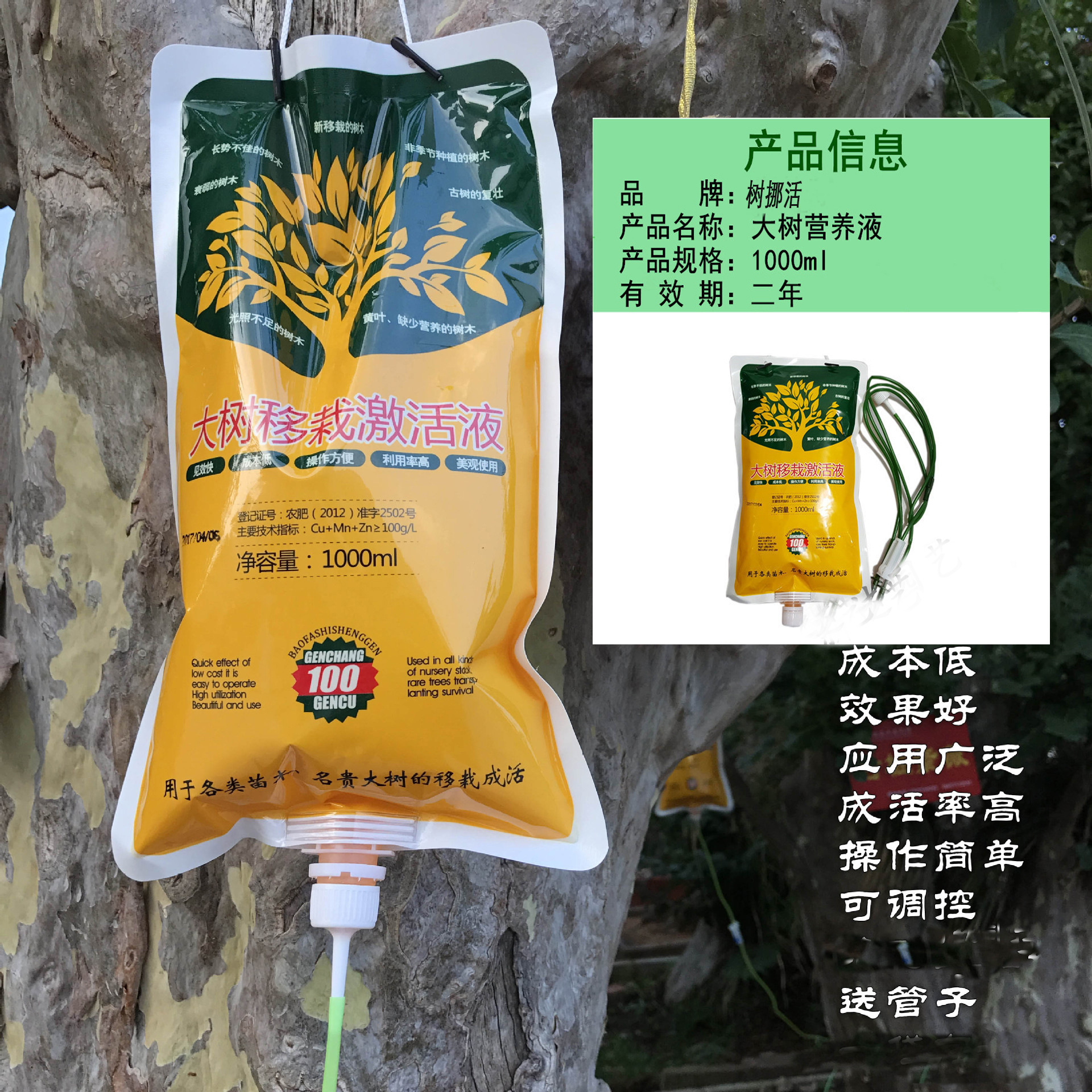 大树移栽系列-大树移栽系列厂家,品牌,图片,热帖-阿里巴巴