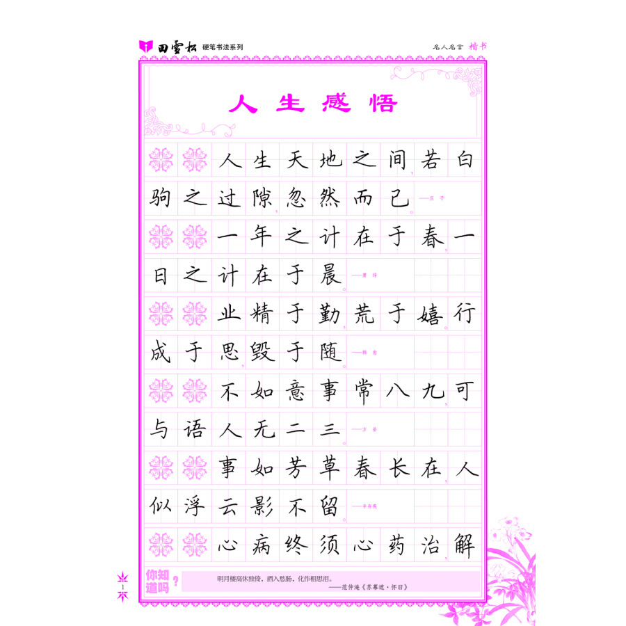 田雪松硬笔书法系列经典美文 名著名言 名人名言 实用成语楷书
