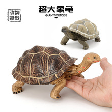 仿真野生动物模型象龟乌龟陆龟两栖类爬行动物玩具实心静态摆件