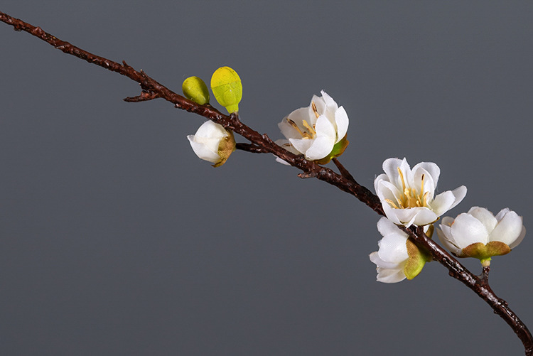 中式禅意腊梅干枝装饰仿真梅花枝会所家居摆放桃花假花直播道具