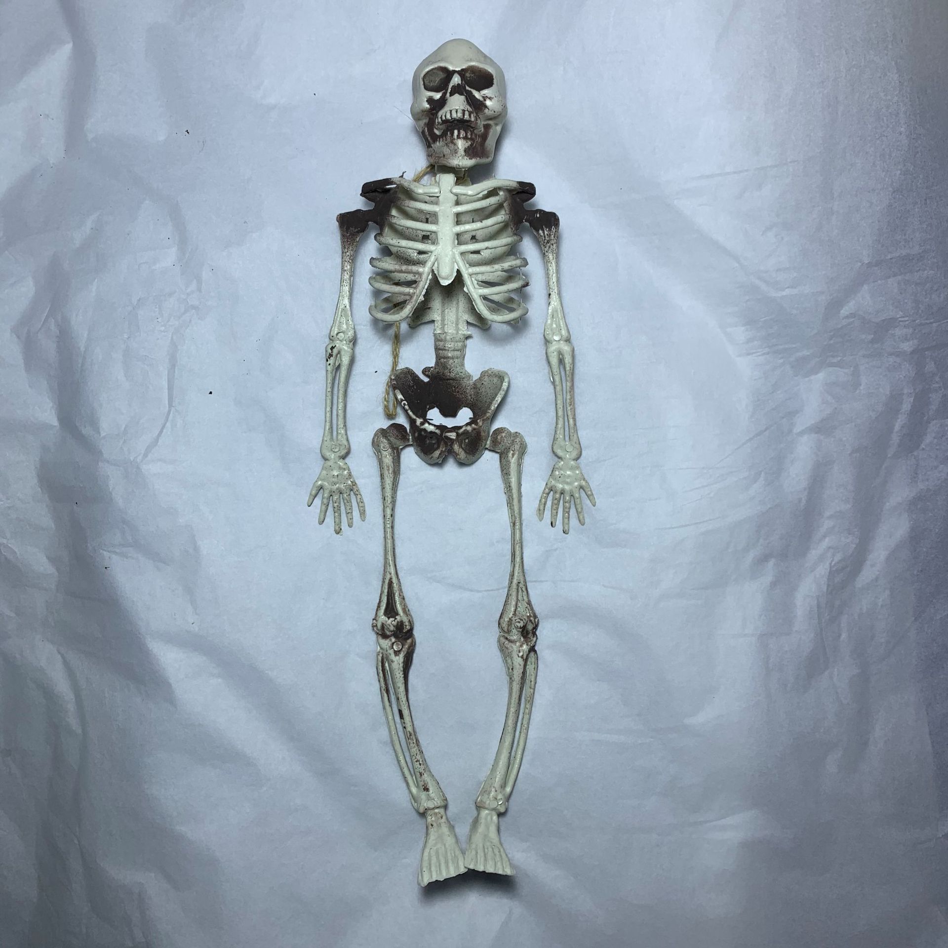 万圣节骷髅头仿真比例骨头鬼屋活动骨架塑料整蛊道具创意摆件