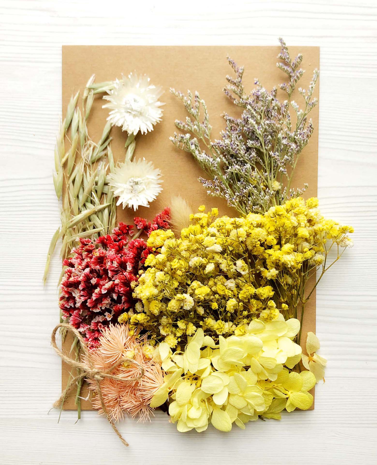 压花永生花材料包 干花永生花相框押花材料包diy花材香薰蜡烛优惠