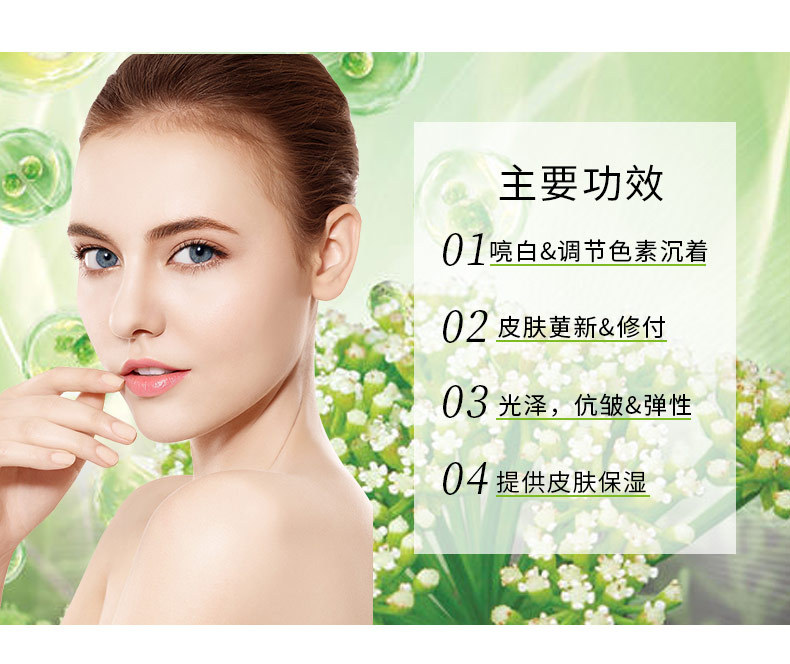 法国赛比克 海茴香干cell 粉末 愈伤组织培养提取物 抗衰护肤原料