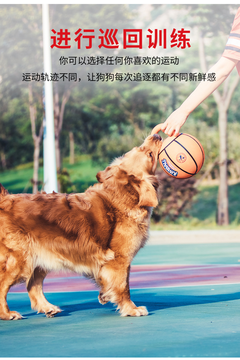 贵为健宝球大型犬篮球耐咬球金毛拉布拉多阿拉斯加宠物玩具球