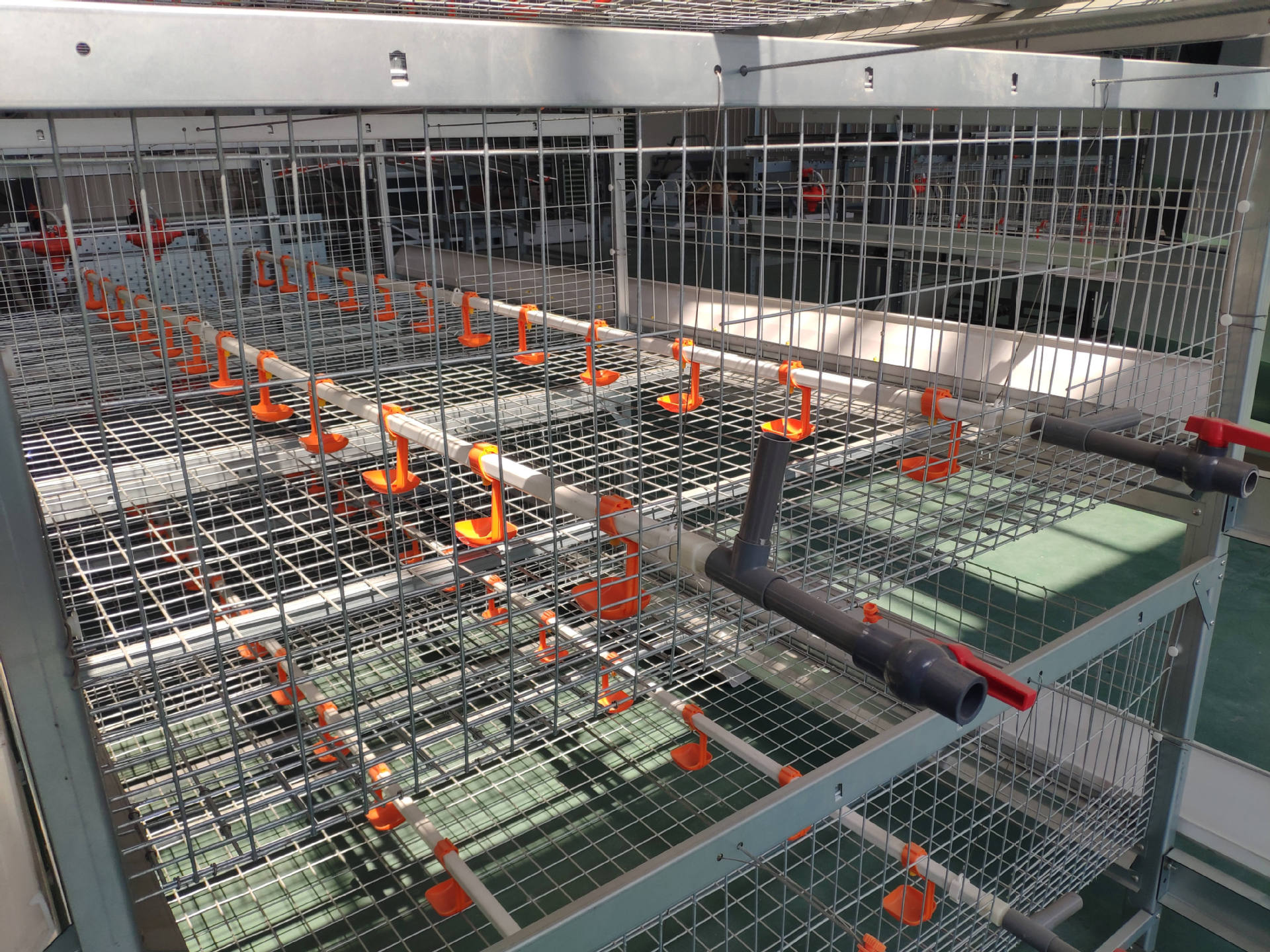 层叠式养鸭笼子 笼上养鸭 全自动养鸭设备三层鸭笼 笼上养鸭