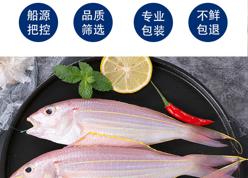 5斤顺丰包邮鲜红杉鱼新鲜海钓金线鱼水产深海捕捞冷冻红三鱼鲜活