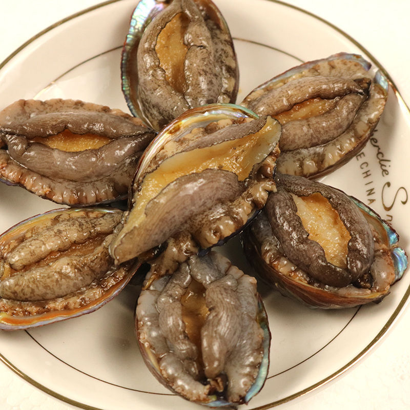 新鲜鲜活野生大鲍鱼活体贝类水产超大刺身鲍鱼2斤包邮