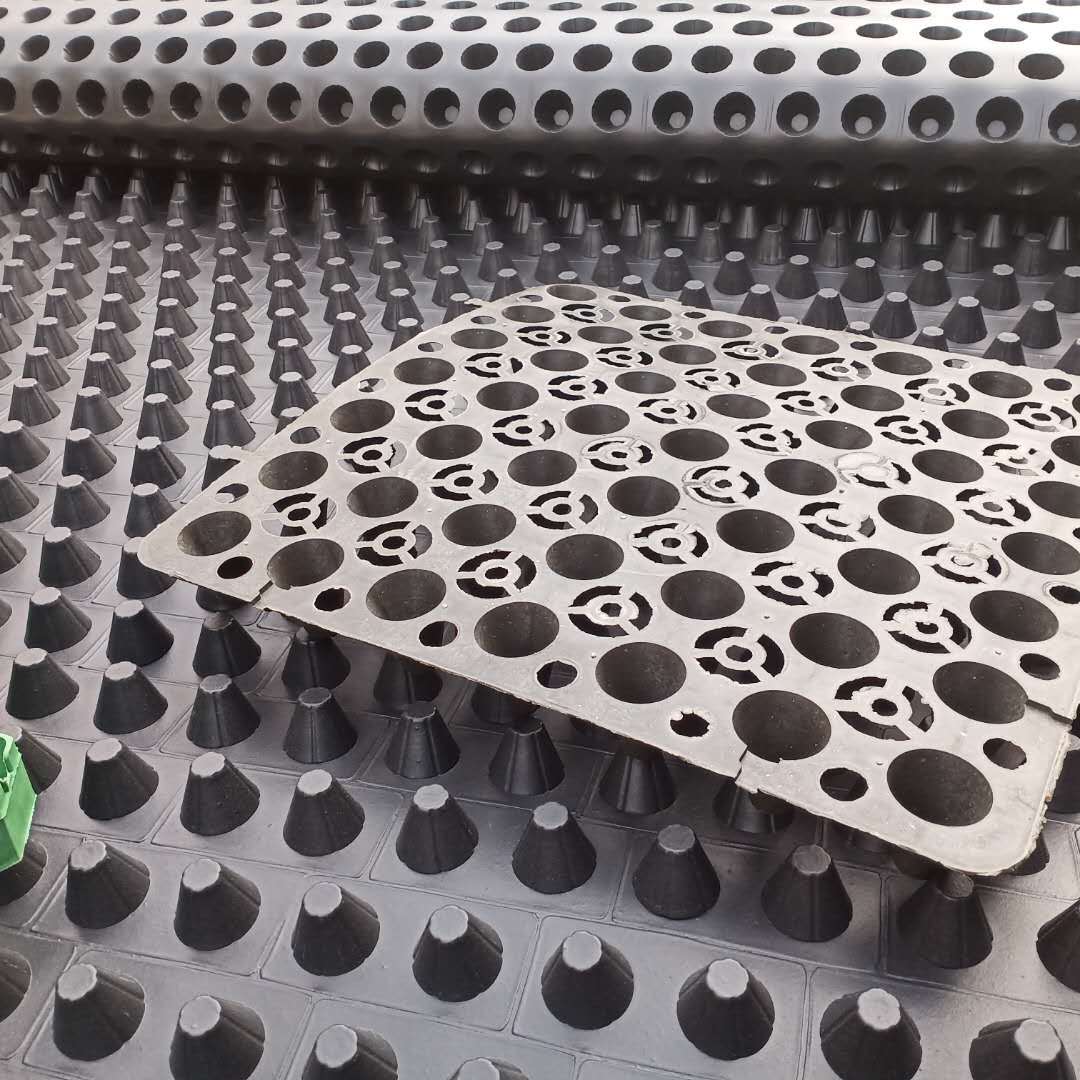 卷材排水板屋顶车库绿化种植排水阻根板地下室墙面防渗隔热排水板