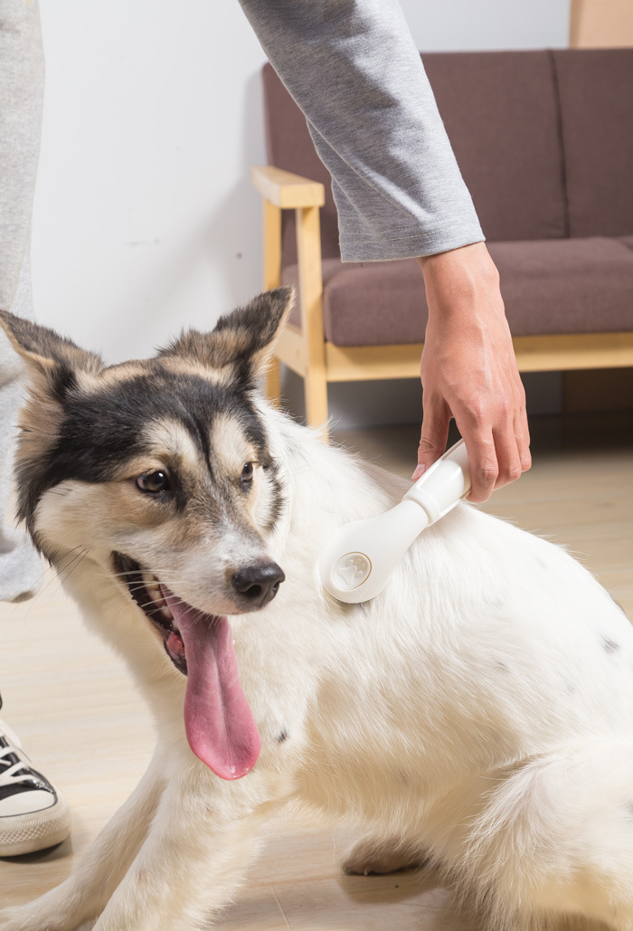 宠物洗澡按摩刷 狗狗洗澡按摩梳 清洁美容工具 除毛刷洗澡刷