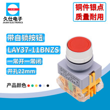 LAY37-11BNZS常开常闭点动平钮自锁按钮开关Y090  22mm 铜件银点