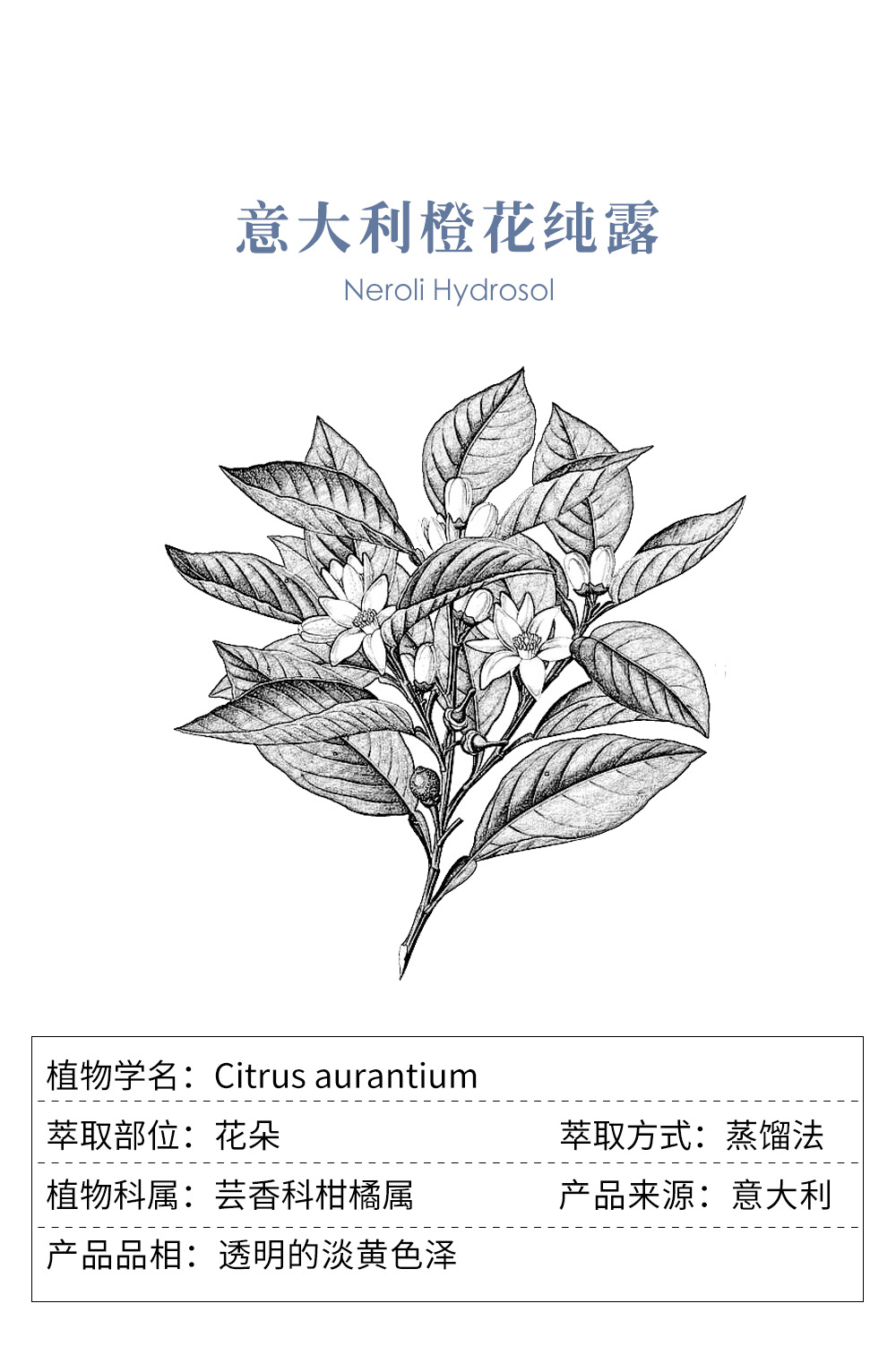 意大利进口橙花纯露 美容护肤花水纯露 颇黎现货批发橙花纯露