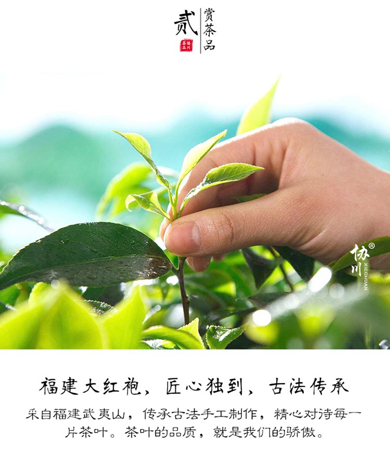 【飘满香气】大红袍茶叶肉桂茶岩茶果香肉桂500g正岩大红袍水仙茶