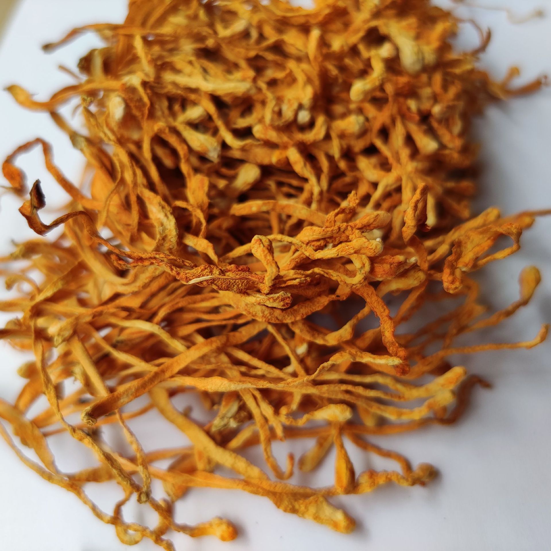 蛹虫草虫草花东北源头虫草花煲汤金虫草批发零售1公斤袋装批发