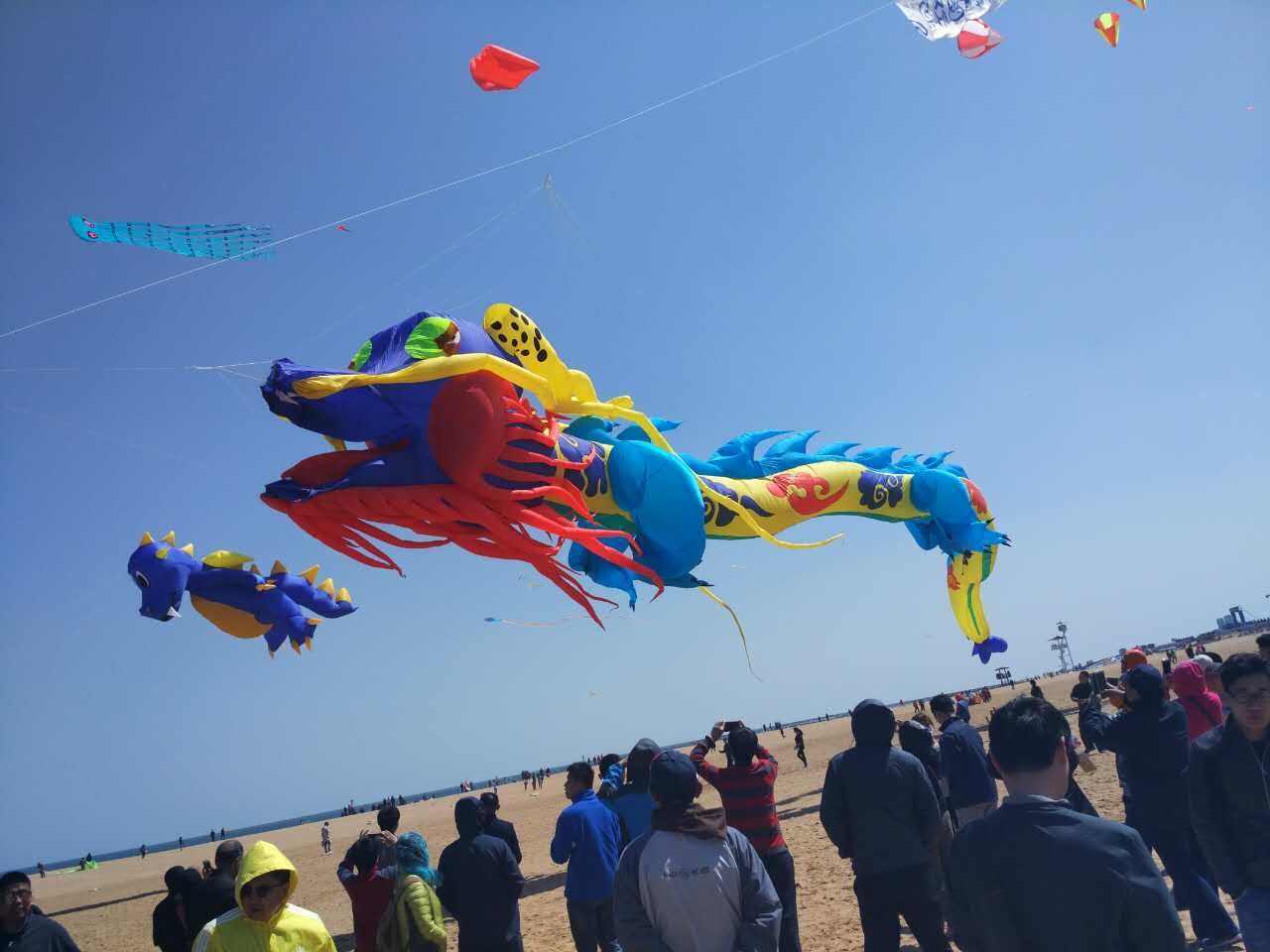 水母风筝 软体风筝 新奇特风筝 新款大型软体风筝速卖通