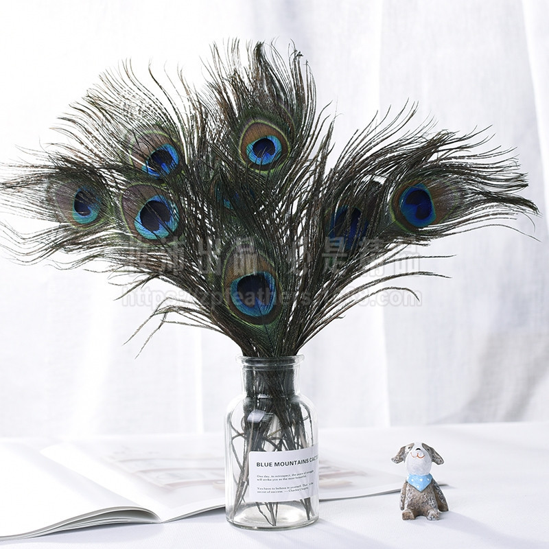 妆沛羽毛 爆款 现货25-30cm优质原色孔雀羽毛 桌面装饰 花瓶插件