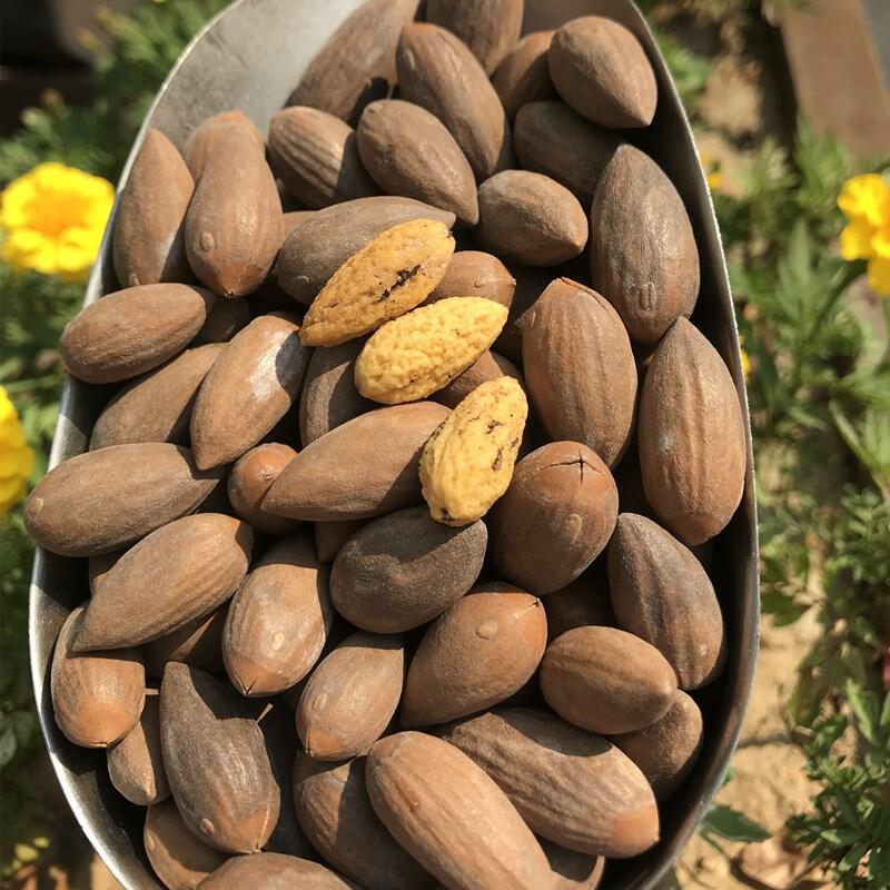 坚果新货 零食 枫桥香榧  临安原味香榧 一手货源批发 10斤/箱