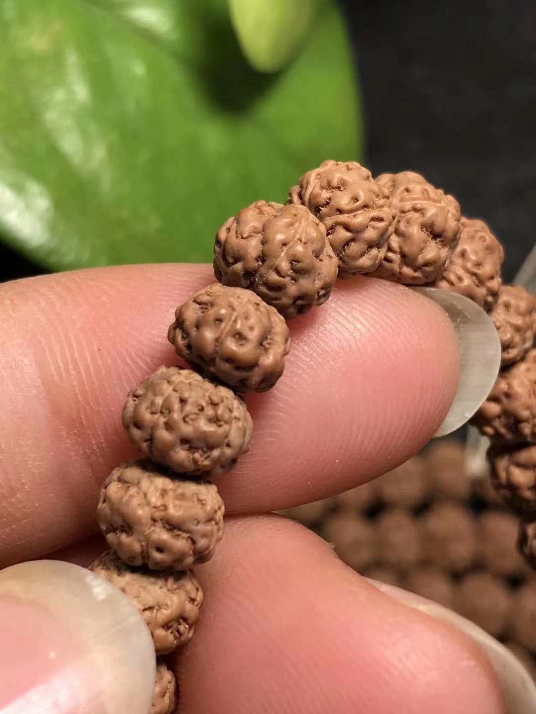 印尼小金刚长串,五瓣同树籽小钢豆小金刚 小尺寸(货号20)