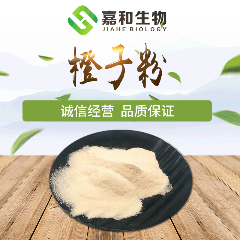 橙子粉 99% 嘉和现货 柳橙果粉 速溶果蔬粉 厂家直销 甜橙粉 包邮