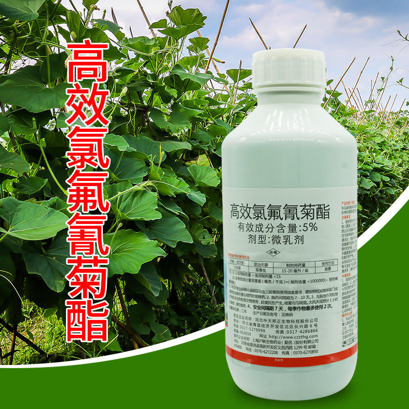 功夫5%高效氯氟氰菊酯菊脂花卉蔬菜杀虫剂蚜虫青虫1000克