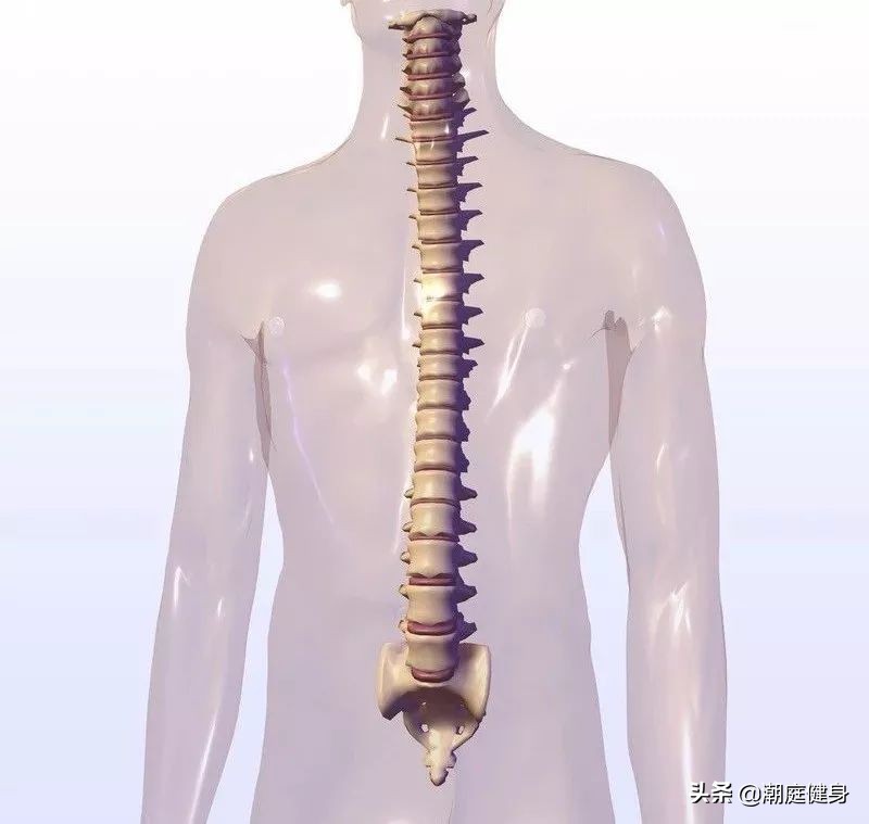 现代人稀缺这篇指南,纠正背部问题