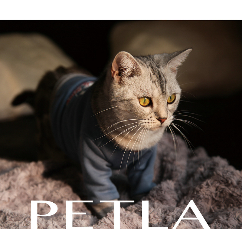 petla派拉2018 春游 系列 宠物胸背带 中小型狗猫背包 粉色款
