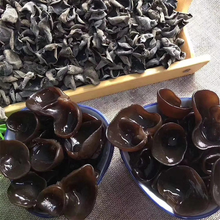 东北木耳 秋木耳 小碗耳长白山矿泉水木耳厂家批发现货供应