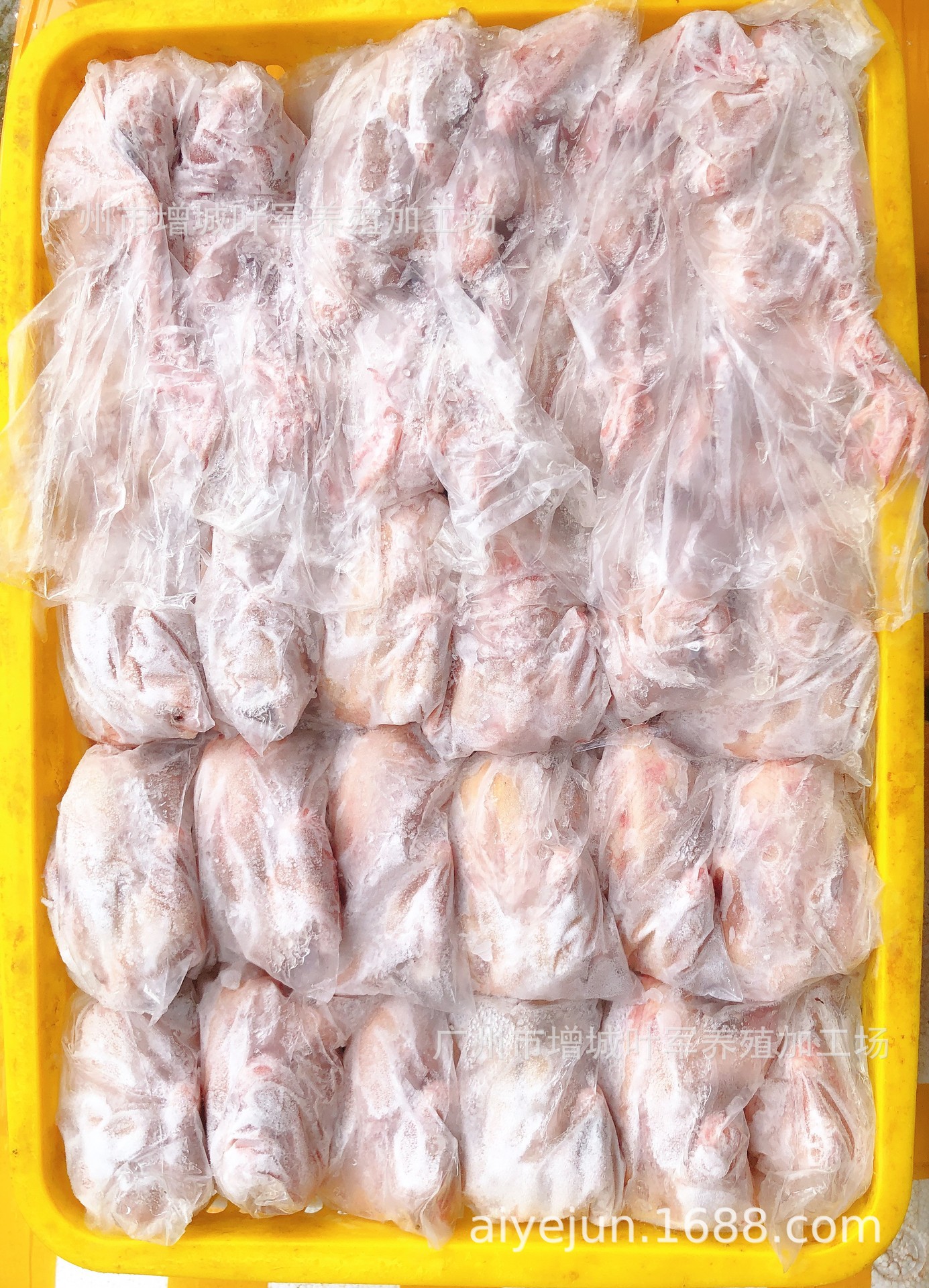 冰冻鸽子,急冻乳鸽,可定制速冻鸽子,速冻乳鸽