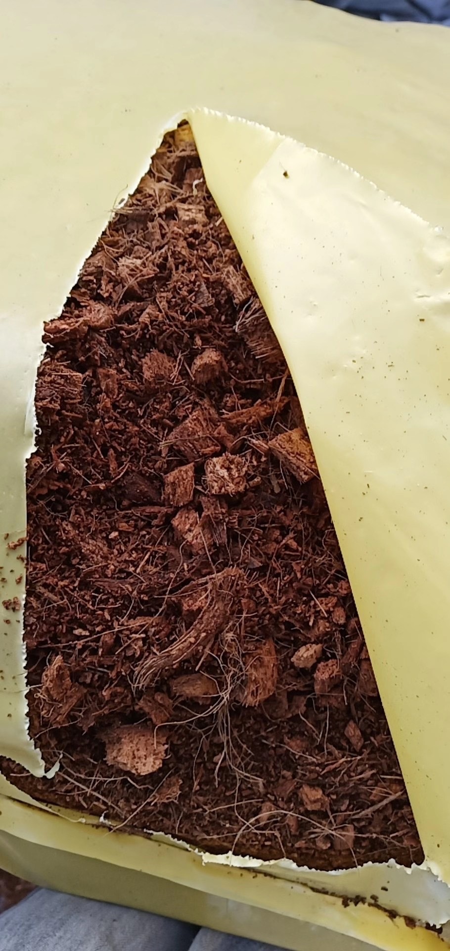 椰糠椰壳1:1混合装保湿透气