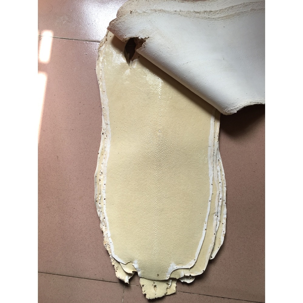 泰国进口珍珠鱼皮料魔鬼鱼皮 diy手工皮料大珍珠鱼皮