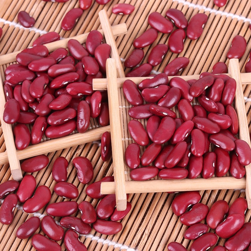 大粒英国红红芸豆 食用农家红芸豆 英国红全红肾形花豆现货批发