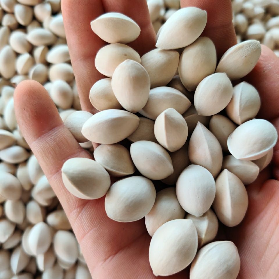 2020年新货干白果250/500克农家银杏果生白果泰兴大佛指送食谱