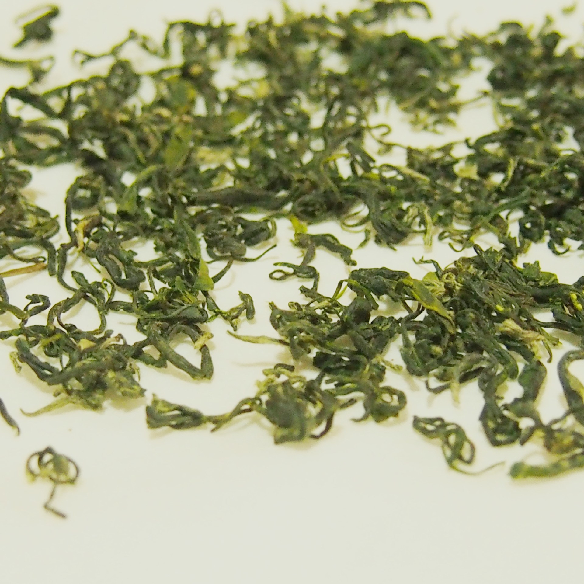 早春贵州毛峰湄潭翠芽凤冈岗锌硒茶批发