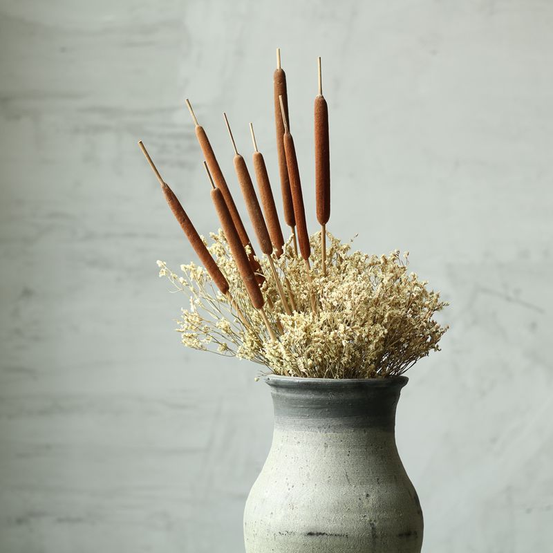 蒲棒乡村风原生态家居装饰原生态天然果壳干花手工特制干花水蜡烛