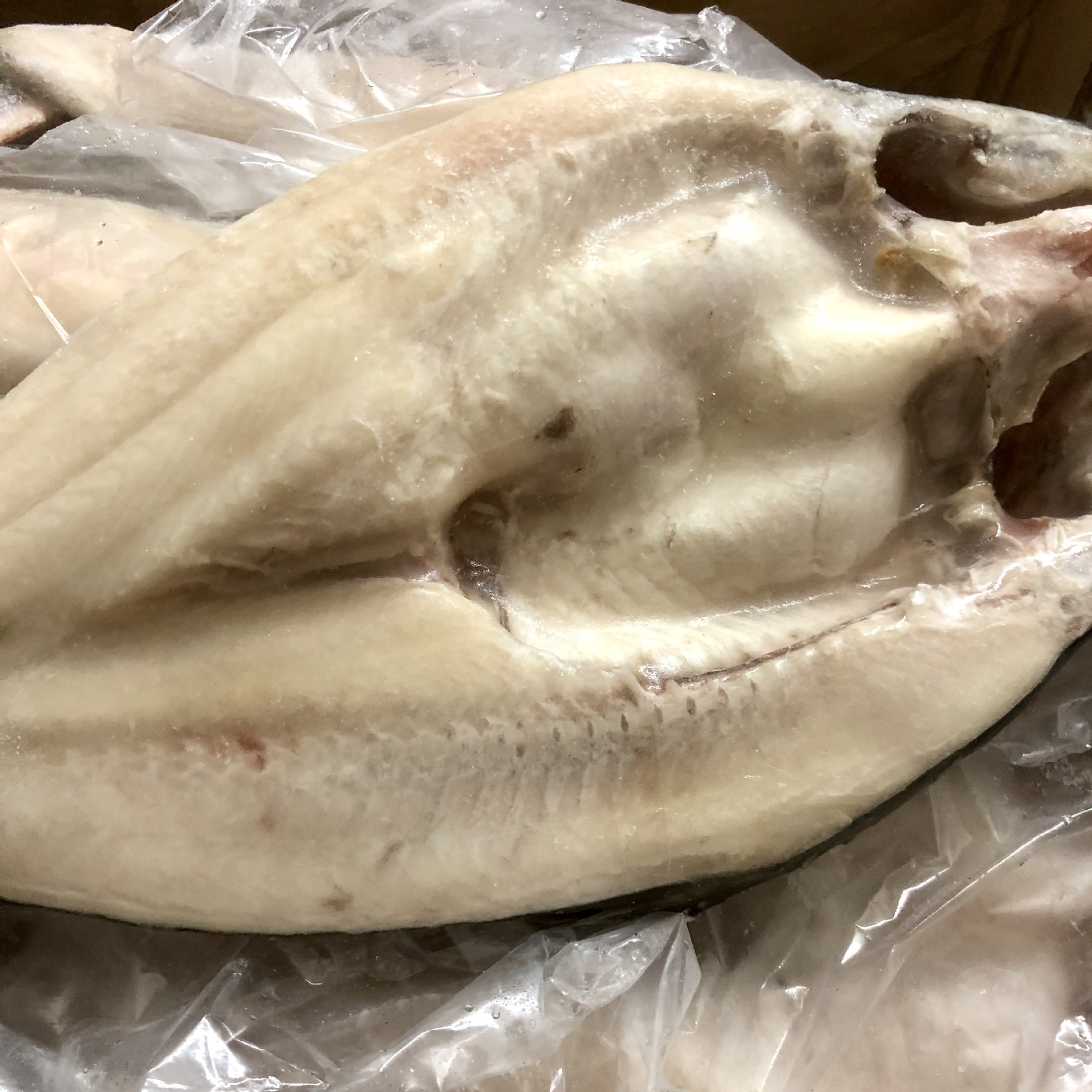 越南活冻开边开背巴沙鱼冷冻湄公鱼烤鱼 凌波鱼巴沙鱼烤鱼10kg/件