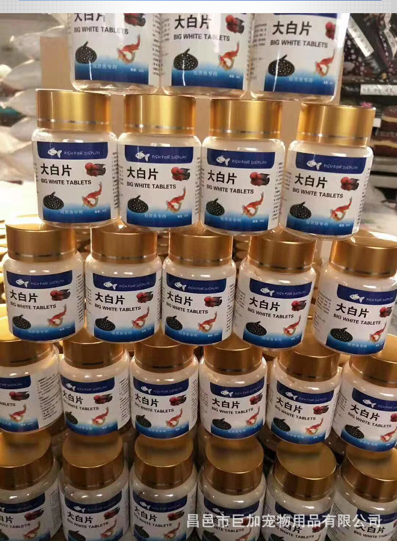 英国大白片观赏鱼药头洞肠炎内寄罗汉龙鱼药热带鱼药