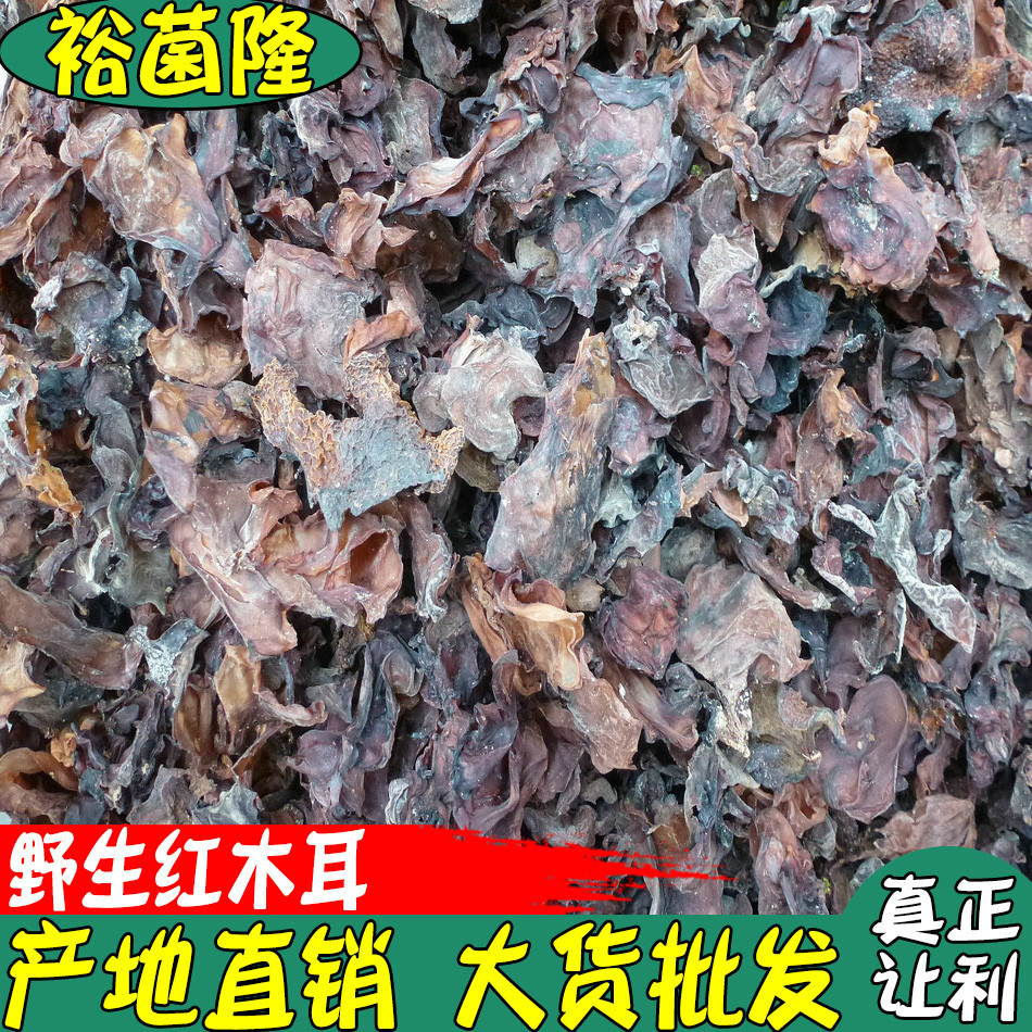 【裕菌隆】 木耳 干红木耳 野生菌水红木耳 产地直销 大货批发