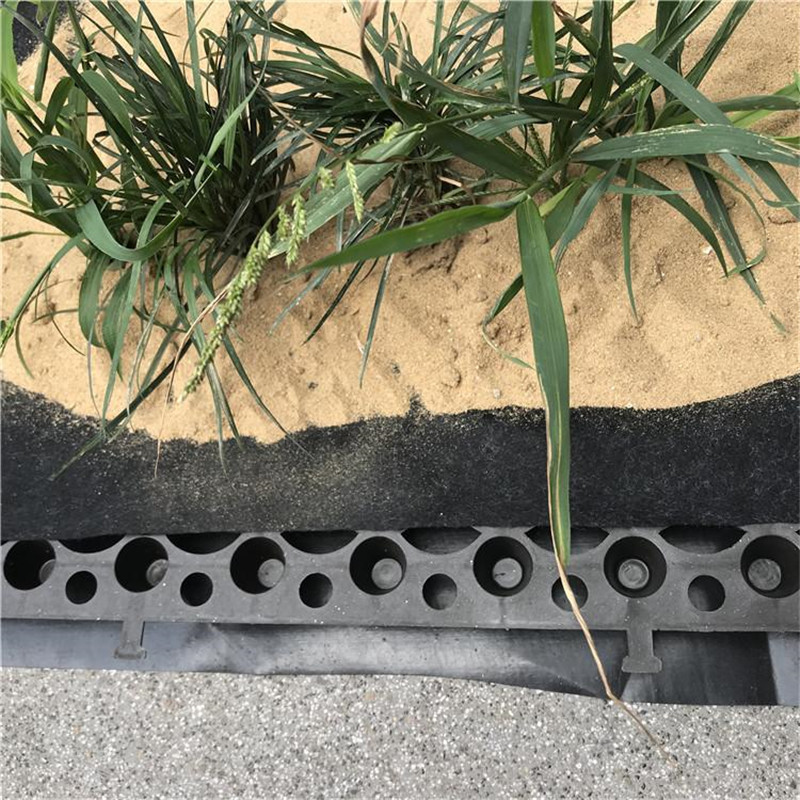 大量现货批发蓄排水板 屋顶绿化用塑料蓄排水板 规格齐全免费拿样