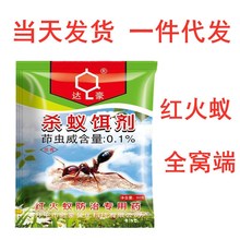 达豪蚂蚁药杀红火蚁专用药花园果园野外草地强效传染全窝端40克