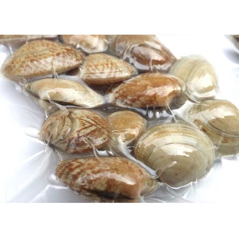 花甲冷冻花蛤 蛤 贝类水产海鲜 花甲王冷冻花甲 10包/件 500g/包