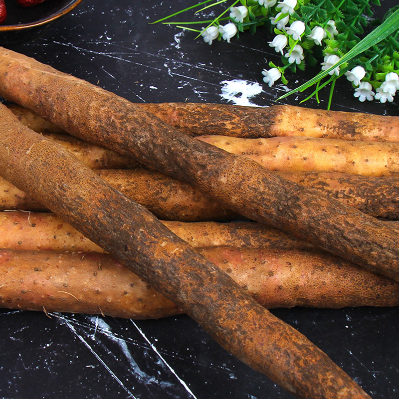 蠡县现挖火烧头麻山药 产地批发新鲜麻山药小白嘴铁棍山药