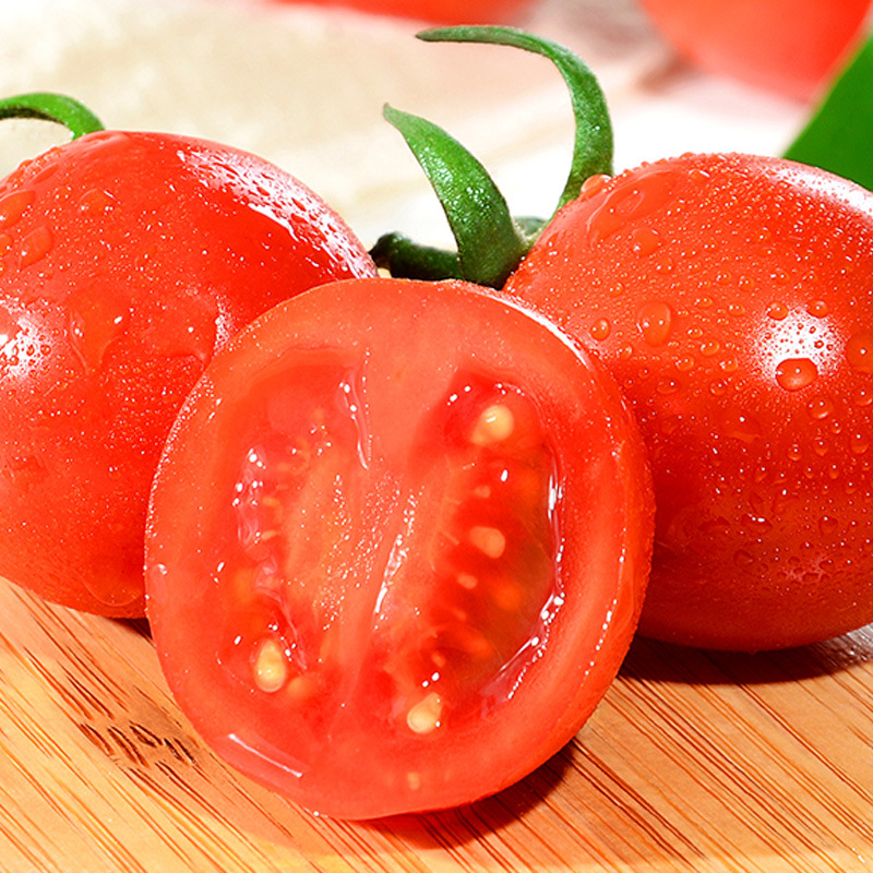 福建圣女果代发1/5斤新鲜生吃小西红柿红果迷你番茄洋柿子水果