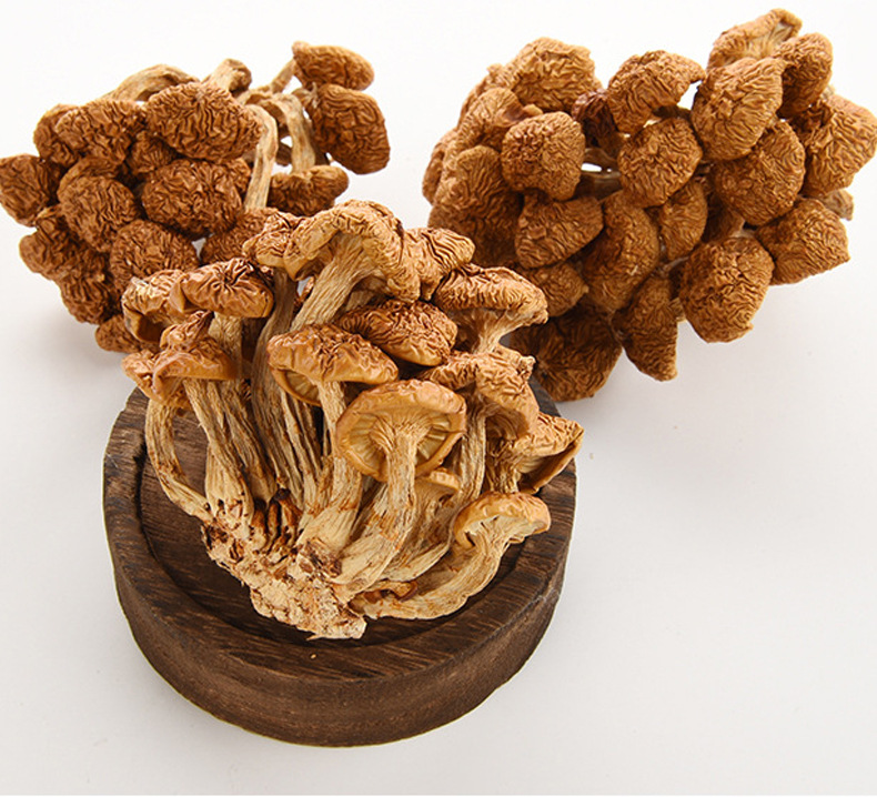 滑子菇内蒙古鄂伦春特产山珍食用菌香菇山珍菌菇凉拌煲汤涮锅盒装