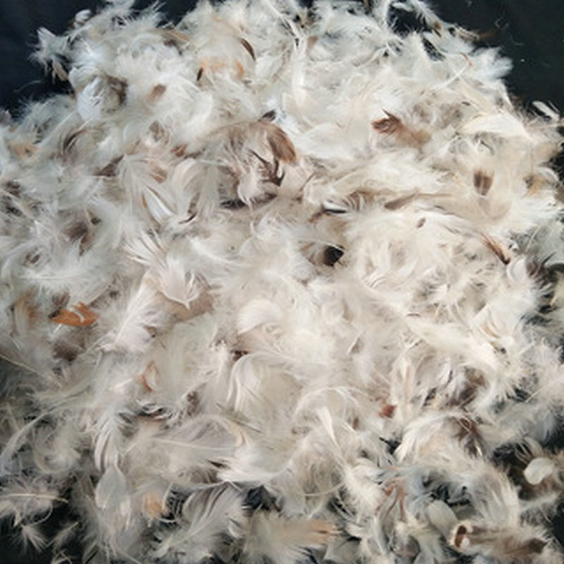 荐 水洗灰鸭毛 水洗灰鸭片 灰鸭小毛片 散装灰鸭绒片羽绒批发