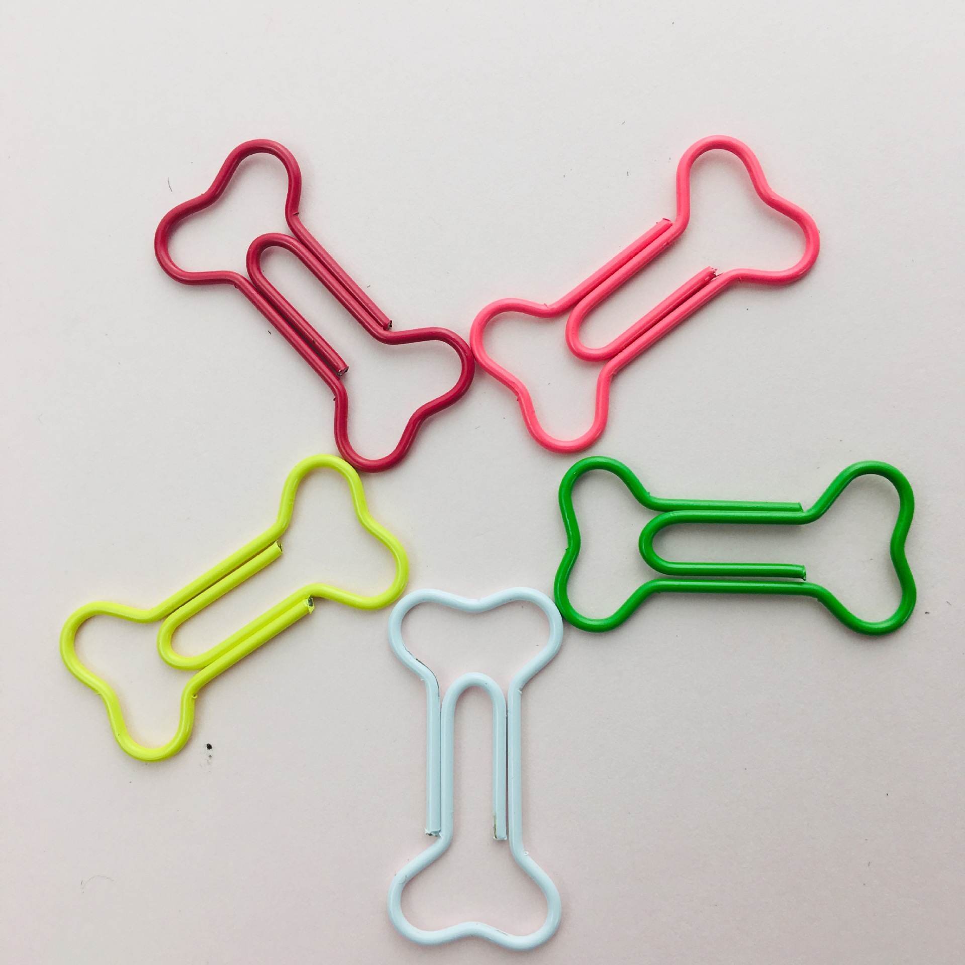 创意卡通金属骨头回形针彩色异性曲别针pvc盒包装办公装订用品
