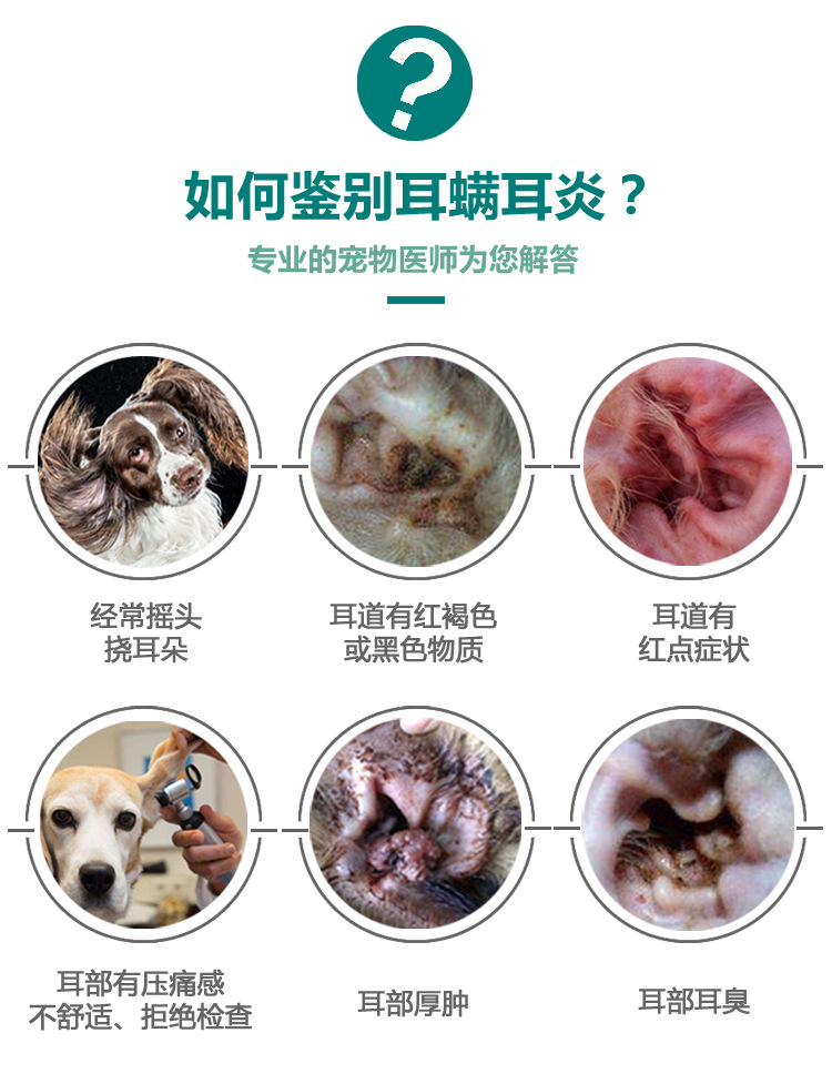 防伪可查法国威隆中文版行货耳肤灵10g 宠物猫狗中耳炎耳螨菌国行