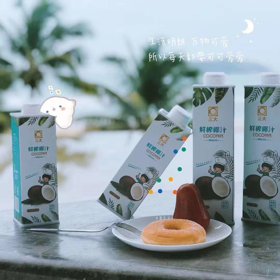 正大椰奶海南特产600ml*6椰奶3小时鲜榨椰肉植物蛋白饮料多省包邮