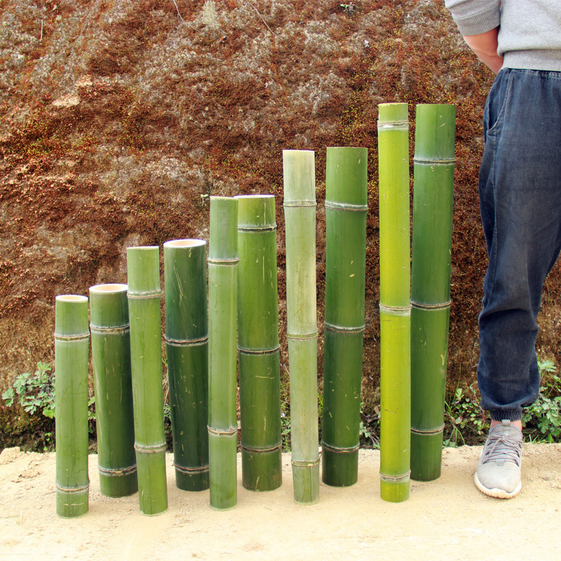 竹制品天然竹筒竹管子竹竿楠竹毛竹竹杆架大竹子竹节装饰竹绿竹子